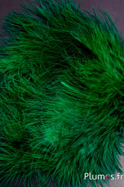 Dinde marabout - 4-7 cm - vert